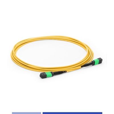 12 코어 MTP® 광섬유 패치 케이블 여성 싱글 모드 G652D 10m 광섬유 패치 케이블 OFNP B 타입